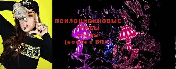 стафф Горно-Алтайск